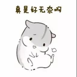 5d7619aad5cad.jpg 03.jpg