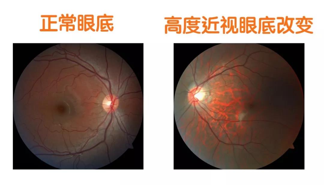 5d7796af8f116.jpg 02.jpg