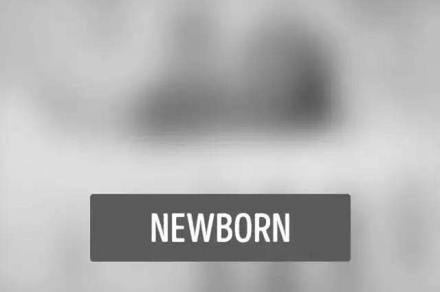 5d779b96d9397.jpg 03.jpg