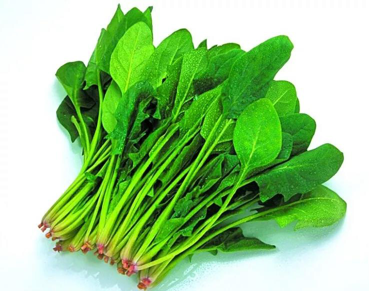 5d77a9fc97e55.jpg 01.jpg